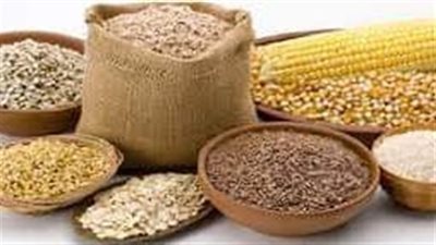 بره الصندوق.. شوف الدولة هتتعامل ازاي مع ارتفاع استيراد الأعلاف