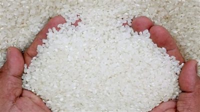 تصدير بالمليارات... حيلة الحكومة في سوق الأرز 