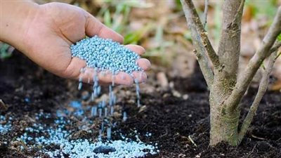 منح الرخصة الذهبية لإحدى الشركات لإقامة وتشغيل مصنع لإنتاج سماد كبريتات البوتاسيوم