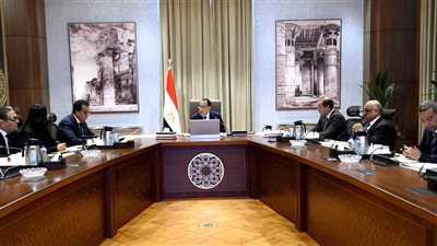 وزير المالية: تسوية أوضاع 13 ألف سيارة لذوي الهمم منذ يونيو الماضي بقيمة 1.5 مليار جنيه