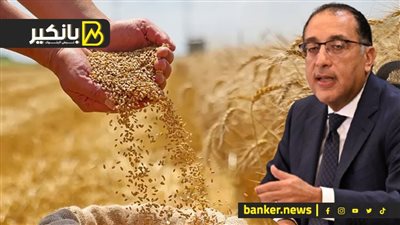 الأعلى في آخر 10 سنين.. تطورات هامة في ملف استيراد القمح