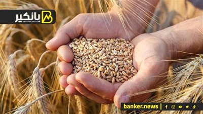 موضوع “مفيهوش هزار”.. كواليس “صفقات الحبوب الكبرى”     