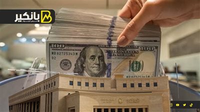 ضربة موجعة لـ “خفافيش الدولار” .. البنك المركزي يعلن خبر سعيد