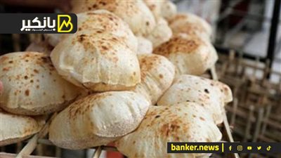 الحكومة بدأت تفكر صح.. شوف إزاي الدولة بتتحرك إزاي لتأمين “رغيف الخبز” 