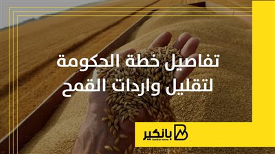  تفاصيل خطة الحكومة لتقليل واردات القمح