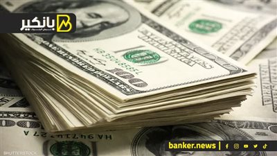 البنوك المركزية تستعد لـ “السيناريو الأسود”.. الأيام الأخيرة للدولار