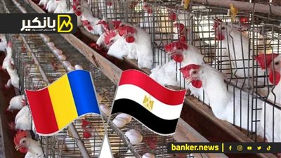 6 اتفاقيات بين مصر ورومانيا.. طرح 5 مناطق حرة جديدة.. وارتفاع قياسي في أسعار الدواجن