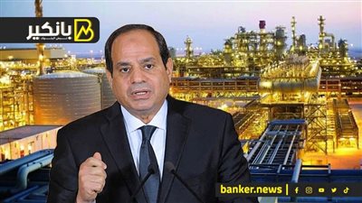 رسالة السيسي اللي هتقلب الصناعة والاستثمار.. عيب نستورد كل ده