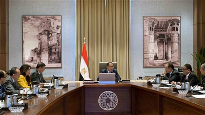 الحكومة تؤكد تطبيق سعر ضمان توريد القطن الذي سبق إعلانه