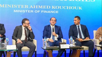 وزير المالية: تنفيذ الحزمة الأولى للتسهيلات الضريبية بالكامل خلال العام المالي الحالي