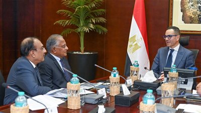 شركة هندية تضخ استثمارات 300 مليون دولار في مصر 