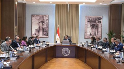 محافظ البنك المركزي المصري يؤكد استقرار سعر صرف الدولار وانتظام تحويلات المصريين بالخارج