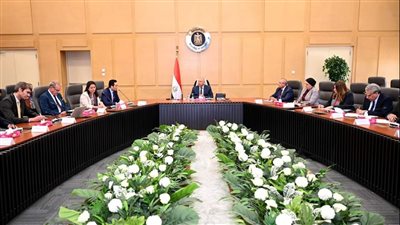 تحالف 3 شركات أوروبية لتوطين صناعة المحللات الكهربائية في مصر