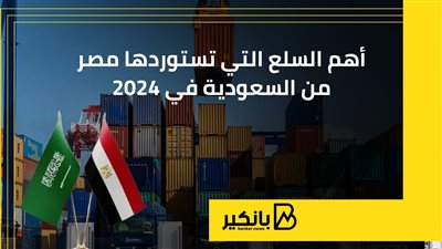 أهم السلع التي تستوردها مصر من السعودية في 2024