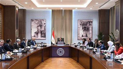 رئيس الوزراء يبحث توطين صناعة السيارات في مصر