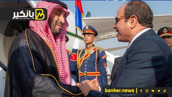 الرئيس السيسي وولي