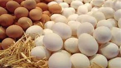 بـ 30 مليون بيض.. شوف الحكومة هتحل أزمة ارتفاع أسعار البيض في الاسواق ازاي