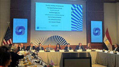 المشاط: الحكومة نفذت إصلاحات هيكلية لتحسين التنافسية وتعزيز استقرار الاقتصاد الكلي