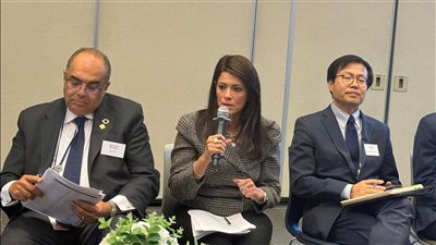 المشاط: الانخفاض في التدفقات الرأسمالية نتيجة زيادة الديون والمخاطر العالية تعوق تحقيق النمو