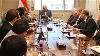 وزير الكهرباء: انتهاء تشغيل مشروع الربط الكهربائي المصري السعودي مطلع الصيف المقبل