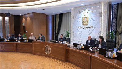 إنشاء وحدة دائمة برئاسة مجلس الوزراء تسمى 