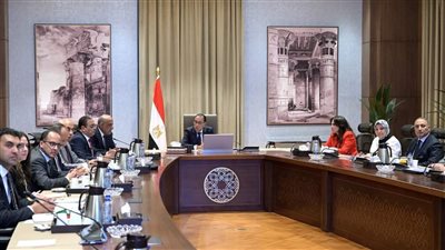 مدبولي يستعرض مع وزير الكهرباء موقف مشروعات الطاقة الجديدة والمتجددة طبقاً لرؤية 2040