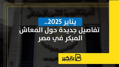 يناير 2025.. تفاصيل جديدة حول المعاش المبكر في مصر