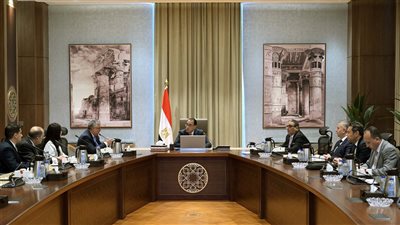 مدينة صناعية جديدة للمصانع والورش لإنتاج مكونات منتجات الإضاءة في مصر.. اعرف التفاصيل