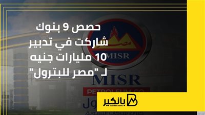 حصص 9 بنوك شاركت في تديبر 10 مليارات جنيه لـ 