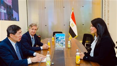 المشاط: الاستراتيجية الوطنية المتكاملة للتمويل محورا رئيسيا للشراكة مع برنامج الأمم المتحدة الإنمائي