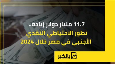 بزيادة 11.7 مليار دولار.. تطور الاحتياطي النقدي الأجنبي في مصر خلال 2024