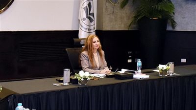 نائب رئيس هيئة الاستثمار: نسعى إلى تعظيم الاستفادة من الاستثمارات الأجنبية المباشرة