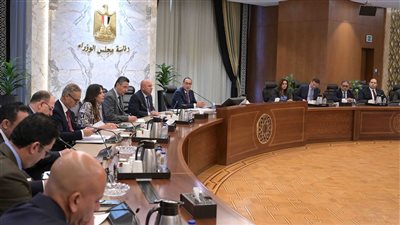 مجلس الوزراء يوافق على إنشاء منطقة حرة خاصة لمزاولة نشاط إنتاج مركزات الموالح في بورسعيد