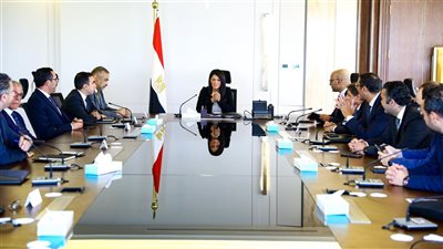 المشاط: أمامنا فرصة كبيرة لتحقيق تقدم ملموس في ملف ريادة الأعمال