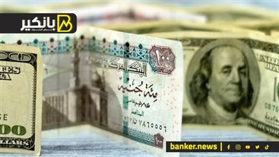 هو فعلا فيه أزمة دولار فى البنوك؟.. شوف الفيديو ده وأحكم بنفسك