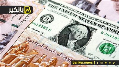 سعر الدولار أمام الجنيه المصري في تعاملات اليوم الخميس 14-11-2024