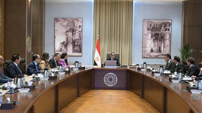 رئيس الوزراء:  تذليل أي عقبات من أجل دعم ريادة الأعمال في مصر