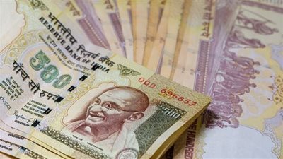 الروبية تهبط لكنها تتجنب خسائر حادة بسبب تدخل بنك الاحتياطي الهندي