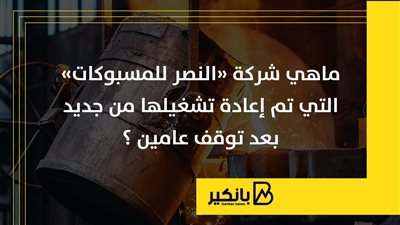 ماهي شركة «النصر للمسبوكات» التي تم إعادة تشغيلها من جديد بعد توقف عامين ؟