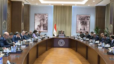 رئيس الوزراء يتابع تنفيذ الالتزامات الحكومية بمشروع الضبعة النووي