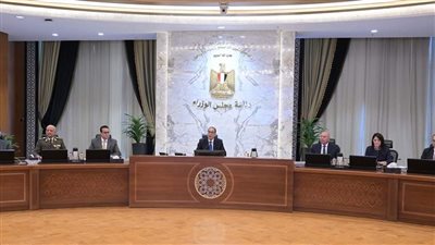 رئيس الوزراء يؤكد استمرار جهود الدولة في دعم وتطوير قطاع الصناعة