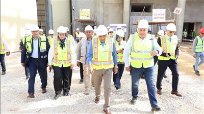 وزير الكهرباء: تشغيل مشروع الربط الكهربائي المصري السعودي مطلع الصيف المقبل