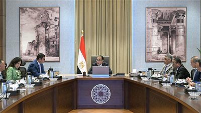 مدبولي يوجه برفع كفاءة وتطوير الوحدات المبنية في أرض مطار امبابة