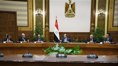 السيسي يؤكد الاستعداد للتعاون مع القطاع الخاص الأجنبي لتفعيل مشروعات مشتركة ونقل الخبرات للعمالة المصرية