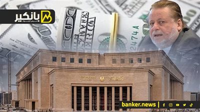 قرار جريء من البنك المركزي.. 46 مليار دولار استثمارات أجنبية