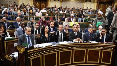 مايا مرسي: قانون 