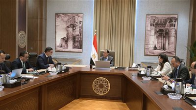 طرح عالمي لتخطيط المنطقة المحيطة بالأهرامات والمتحف الكبير وحتى مطار سفنكس شمالا ودهشور جنوبا