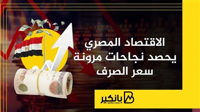 الاقتصاد المصري يحصد نجاحات مرونة سعر الصرف