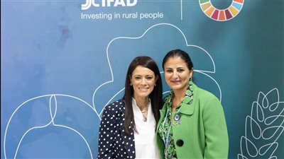 المشاط: شركاء التنمية لمصر يلعبون دورًا من خلال توفير أدوات مالية مبتكرة وآليات لتقليل المخاطر