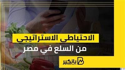الاحتياطي الاستراتيجي من السلع في مصر